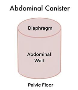 Abdominal canister